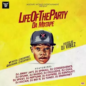 DJ Vibez - Life Of The Party MIxtape